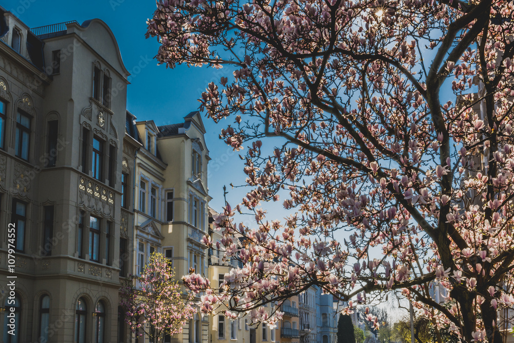 custom made wallpaper toronto digitalHausfassaden aus der Gründerzeit