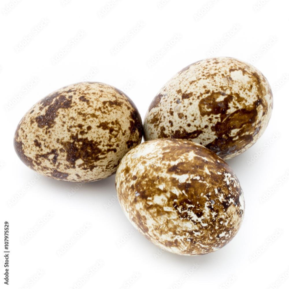 Quail eggs the isolated on a white background. Quail eggs the isolated on a white background.