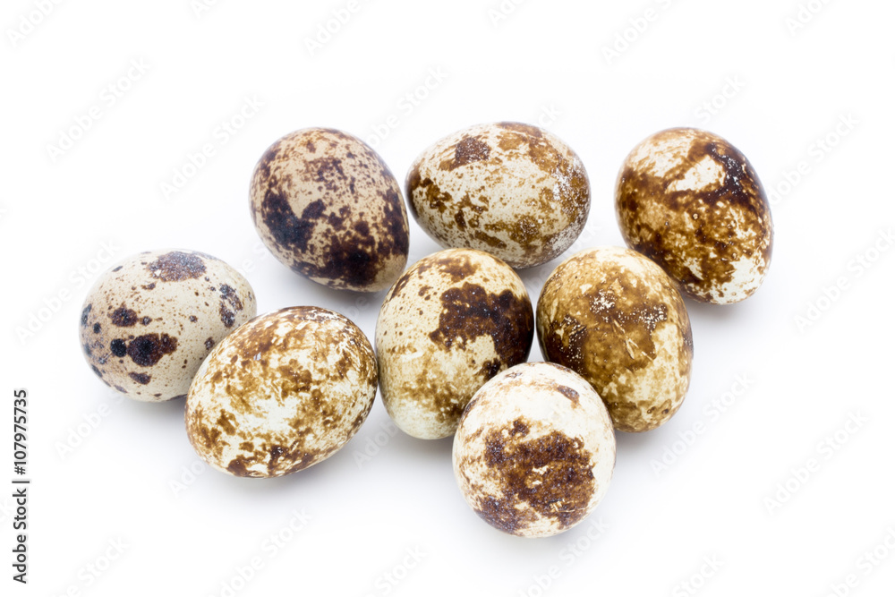 Quail eggs the isolated on a white background. Quail eggs the isolated on a white background.