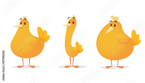 Chicken Cartoon Illustration