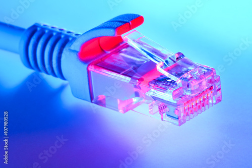 Connector for Internet and network connection RJ45. Version with