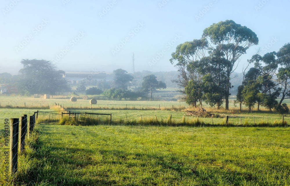 Fototapeta premium Foggy morning