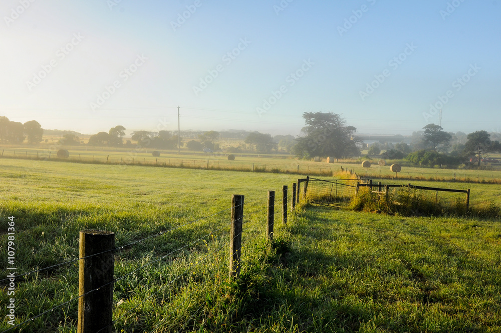 Foggy morning Foggy morning