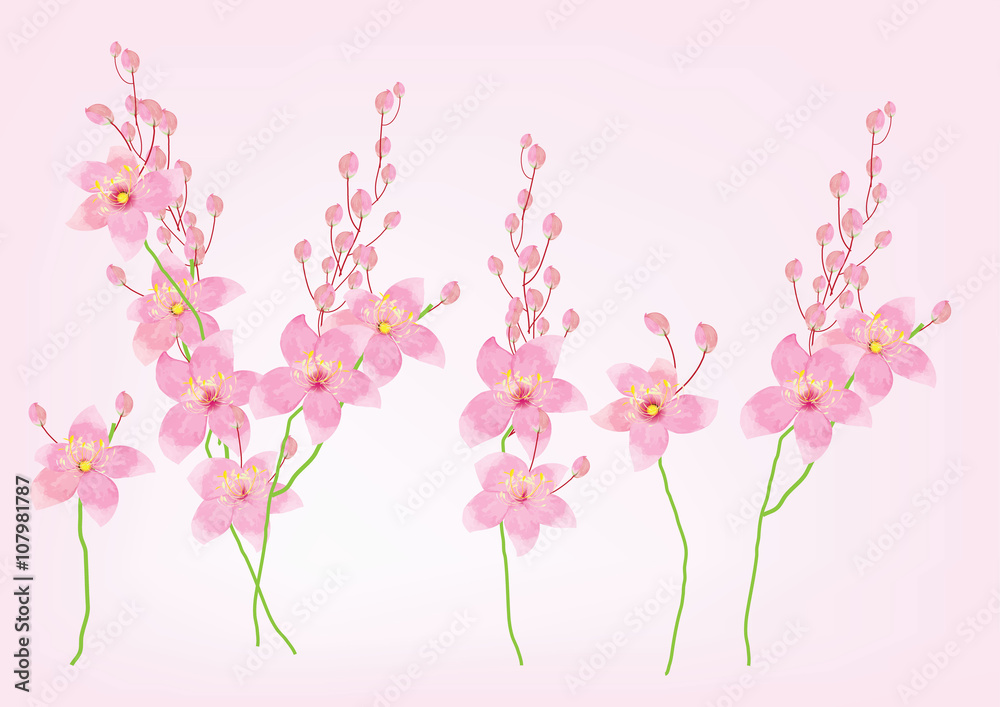branch of pink flowers on pink background