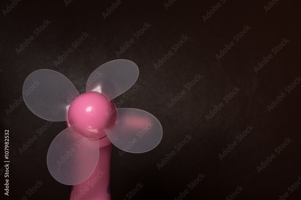 Fototapeta premium Fan