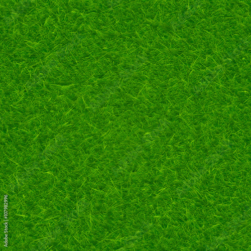 Green grass texture background