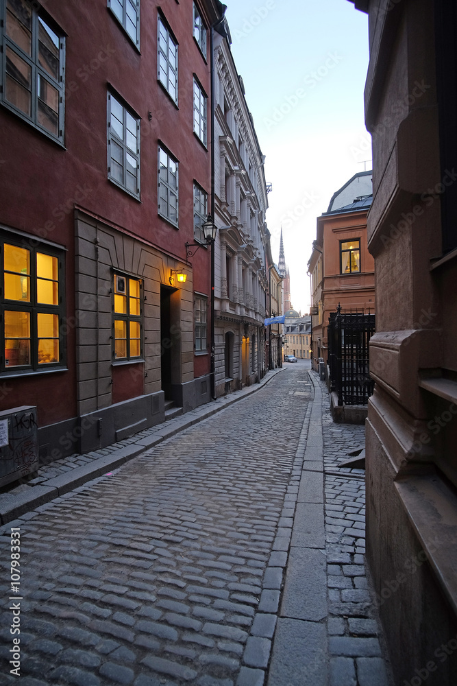 landscape with the image of Stockholm, Sweden