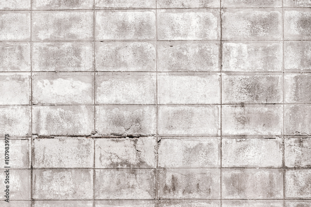 Fototapeta premium brick wall