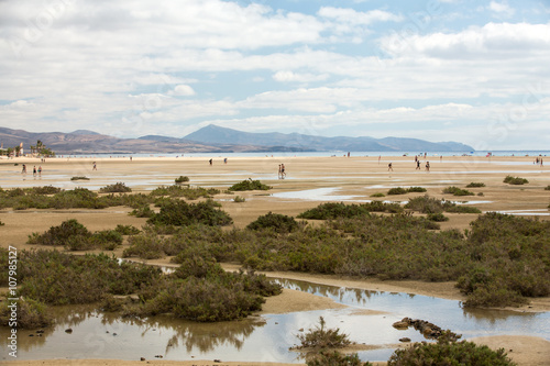 Beach Playa de Sotavento, Canary Island Fuerteventura, Spain