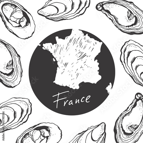 Oysters background, food vector illustration