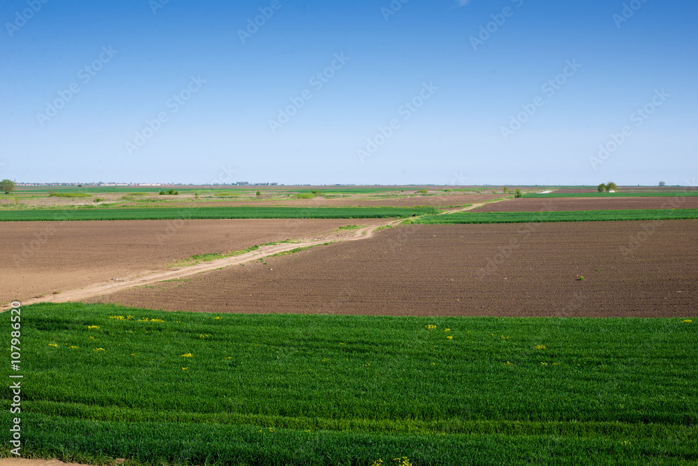 Agro field with a road