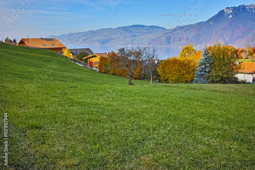 Amazing panorama of Lake Thun and typical Switzerland village near town of Interlaken, canton of Bern