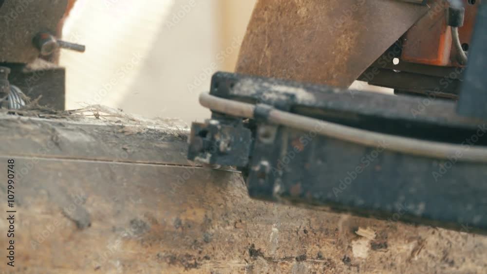 wood cutting machine board log in a sawmill wood cutting machine board log in a sawmill