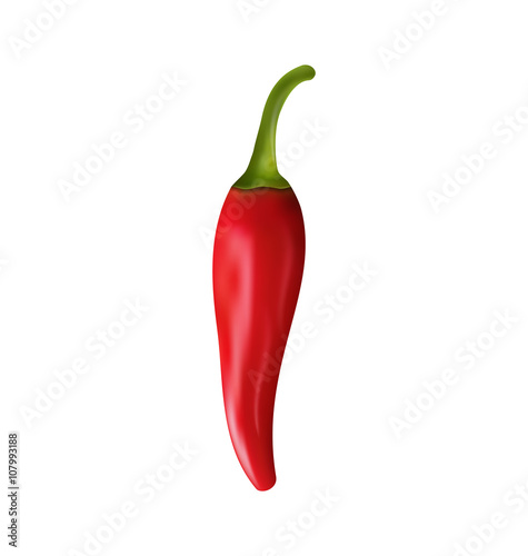 Red Pepper Isolated on White Background Vector Illustration