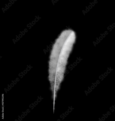 White Feather isolated on Black Background