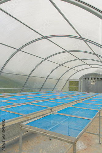 inside of solar energy plant drying greenhouse for dried product