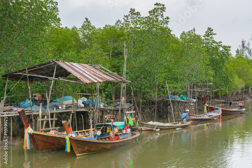 Long-tailed boat at mangrove forest