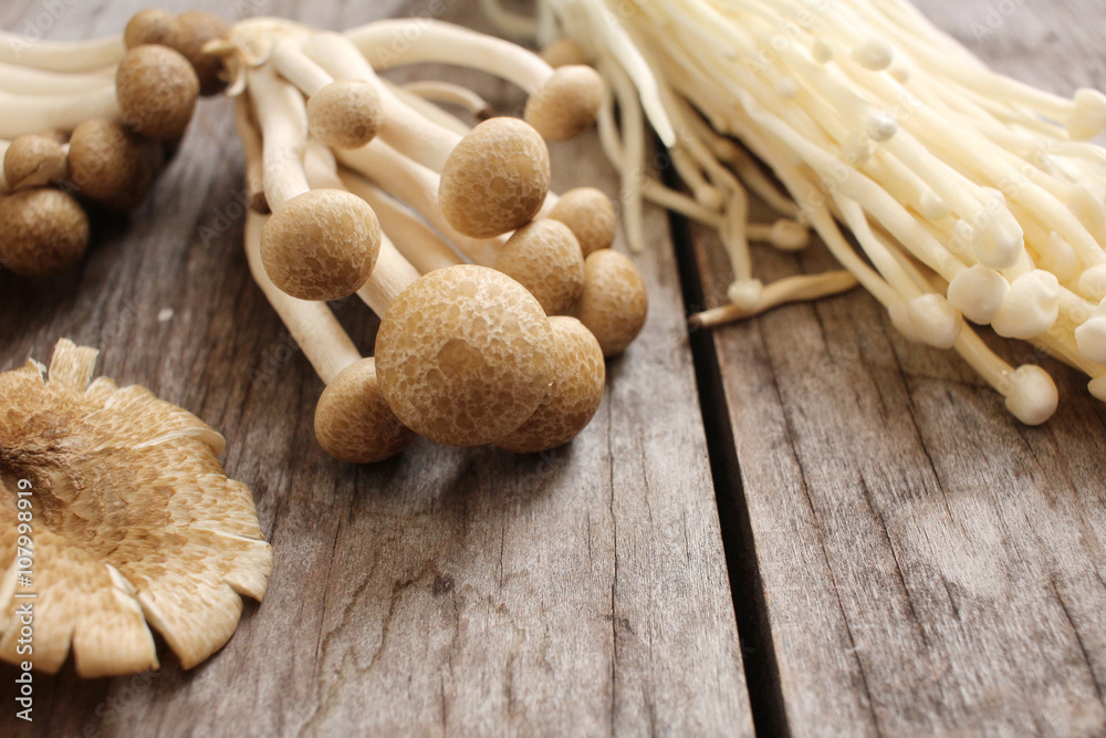 Mix of mushroom Mix of mushroom