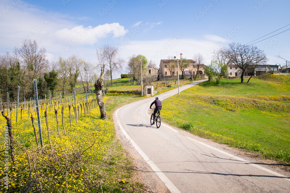 Fototapeta premium Road between the Italian hills. Ideal routes for cyclists.