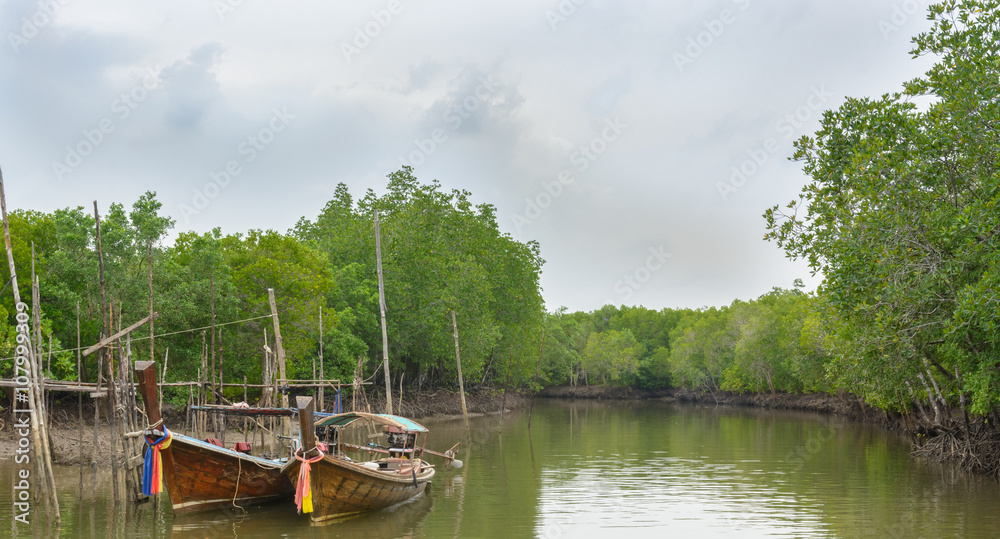 Obraz premium Long-tailed boat at mangrove forest