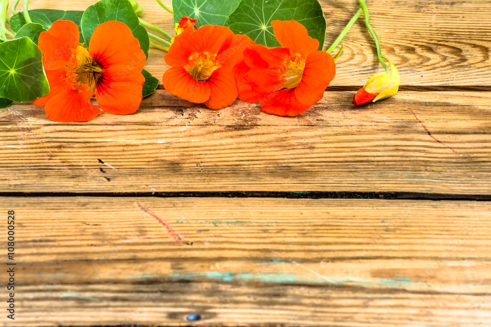 Nasturtium flowers on wooden background