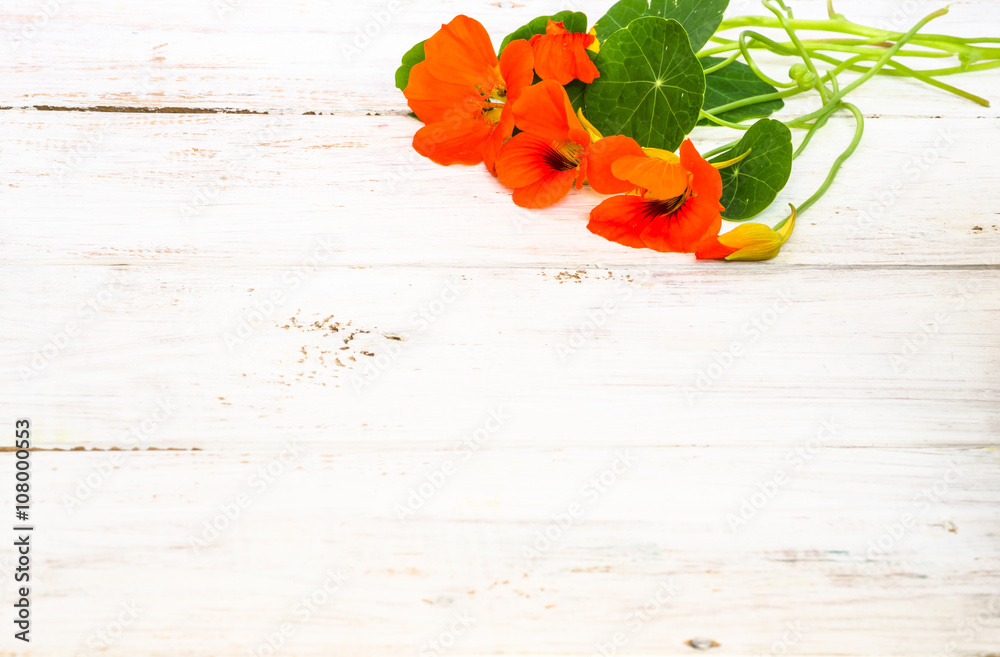 Nasturtium flowers on wooden background Nasturtium flowers on wooden background