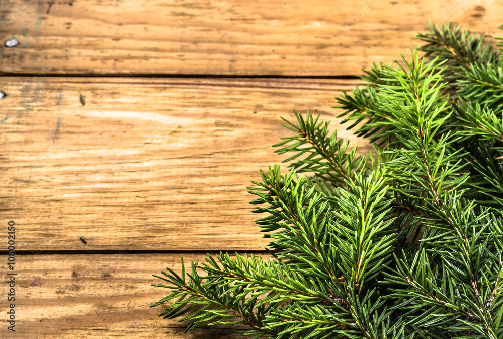 Green christmas tree on wooden boards Green christmas tree on wooden boards