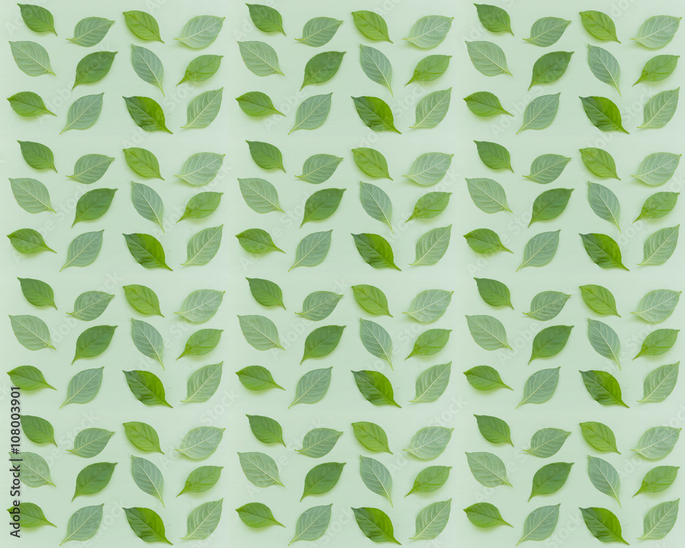 Green leaves pattern. Seamless Green Leaves