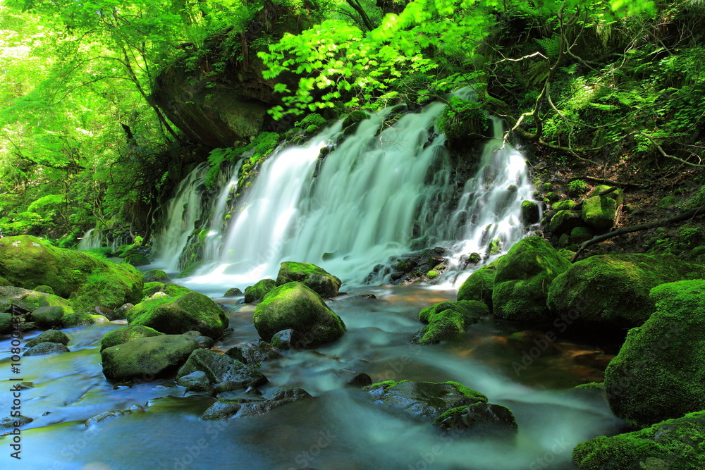 Naklejka premium 夏の元滝伏流水