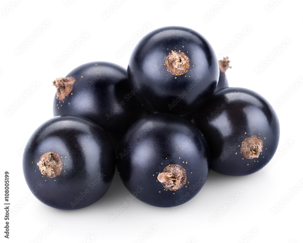 Black currants Black currants