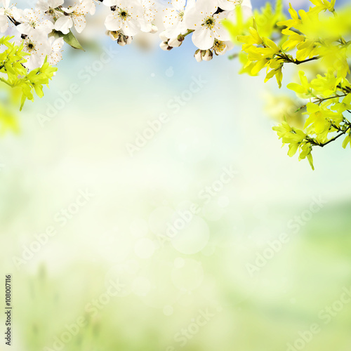 wiosenne tło © Tomasz