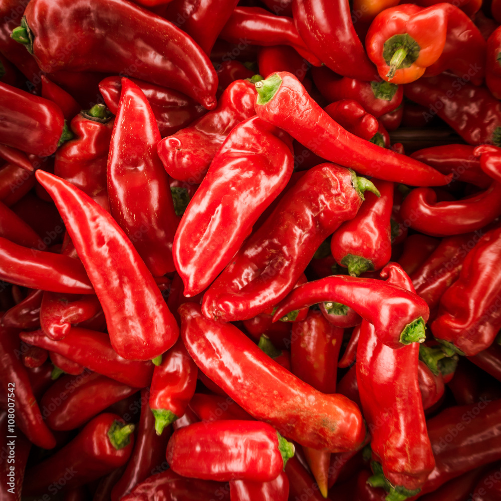 Red chili pepper background. many red peppers