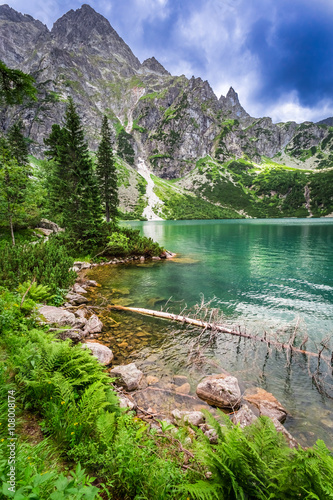 Fototapeta Naklejka Na Ścianę i Meble -  Beautiful pond in the mountains at summer, Poland