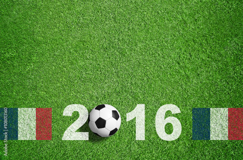 Spielfeld   Rasen   EM 2016