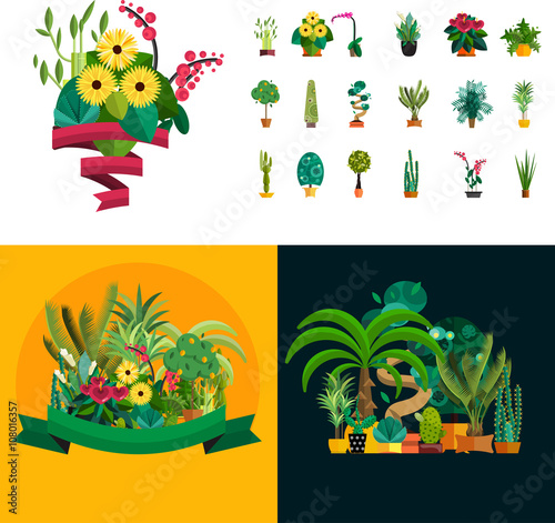 Garden plants  Potted flowers in the garden vector illustration