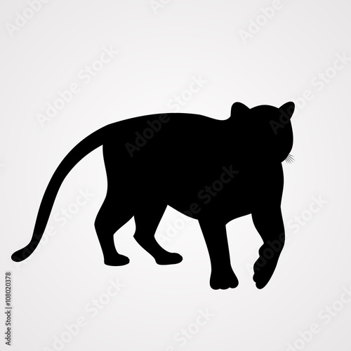 tiger