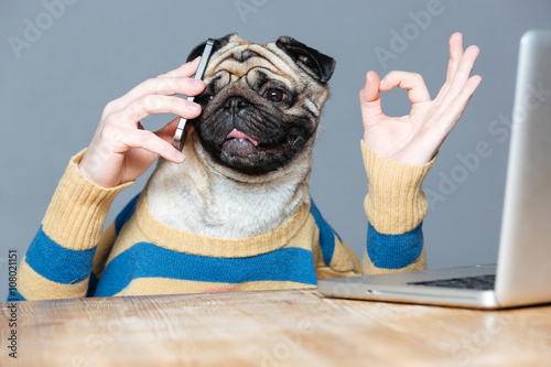 Happy man with pug dog head talking on cell phone
