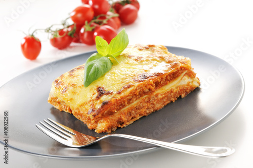 Lasagne-5