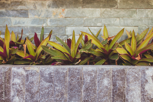 Stone Wall, Steps and Planter on Garden