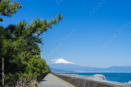 Miho no Matsubara photo