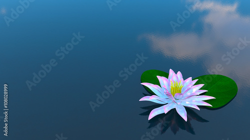 Beautiful water lily on a pond. Flower and clouds reflected on the water surface. Round floating leaves of a water lily. 3D illustration.
