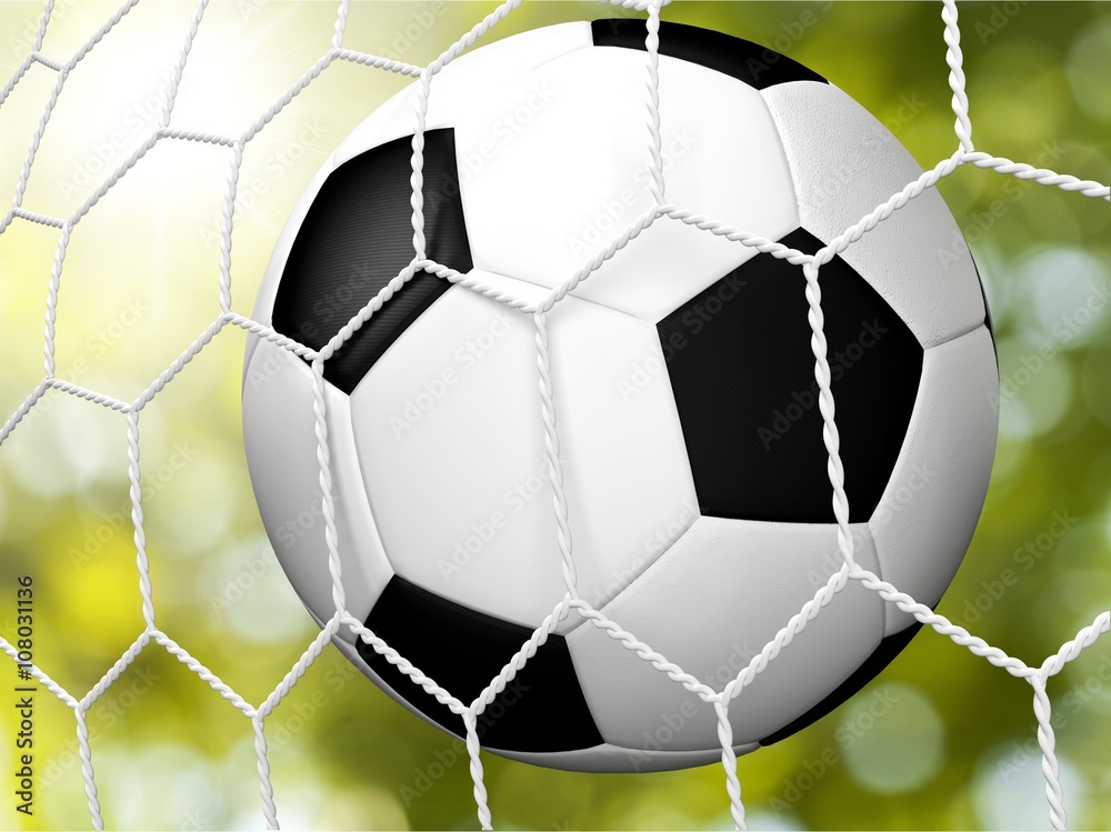 Fototapeta premium Soccer.