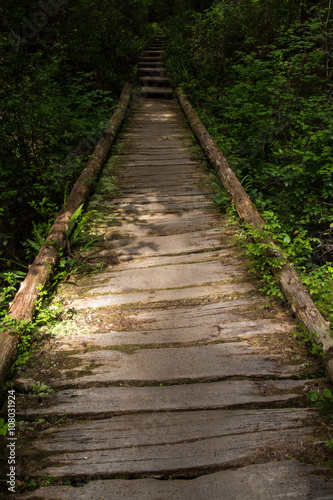 Wooden Pathway Trail in Olympic National Park Washington Ozette © ricktravel
