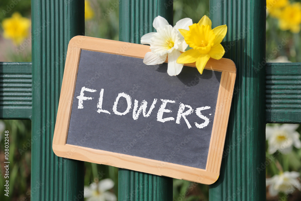 Flowers flower daffodil daffodils spring garden with sign board - obrazy, fototapety, plakaty 