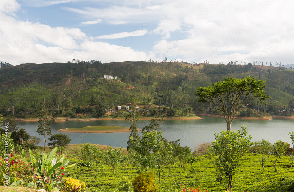 view to lake or river from land hills on Sri Lanka
