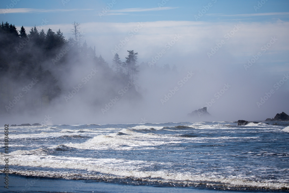 Obraz premium Sea stacks at ruby beach olympic national park in fog