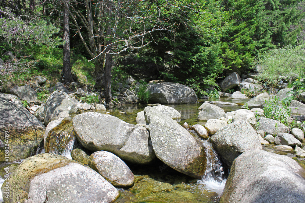 River in the Mountains