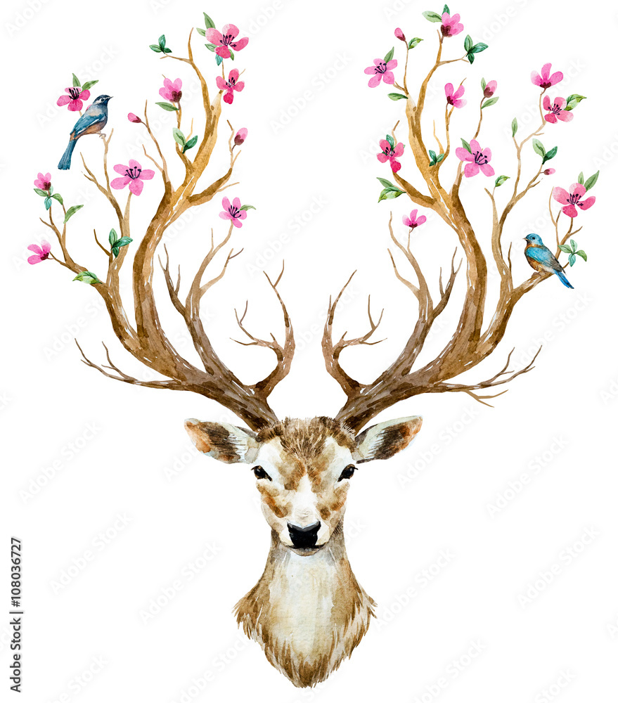 Fototapeta premium Watercolor hand drawn deer