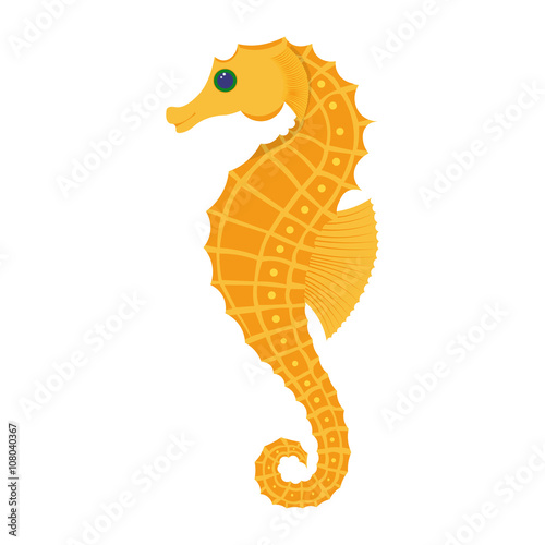 Seahorse vector illustration
