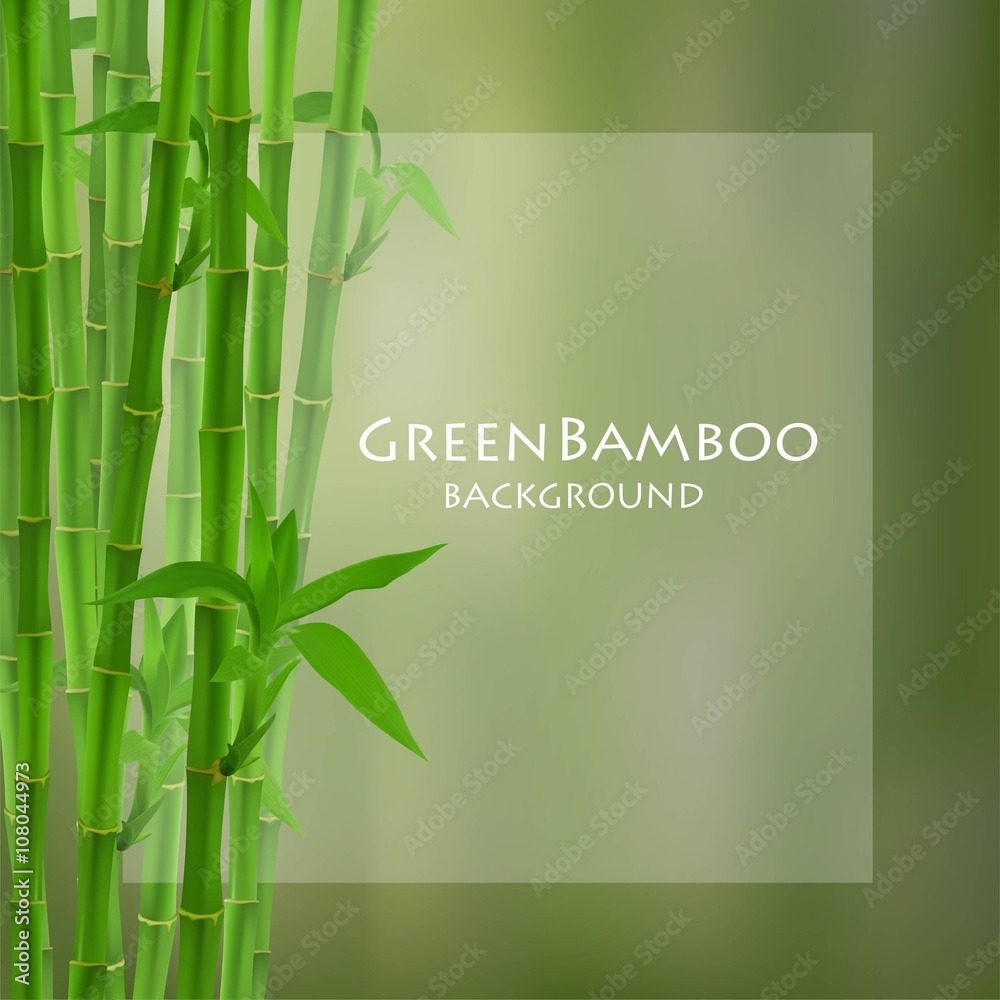 Obraz premium Green bamboo vector illustration.